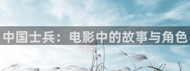 神马影院达达兔国产区：中国士兵：电影中的故事与角色