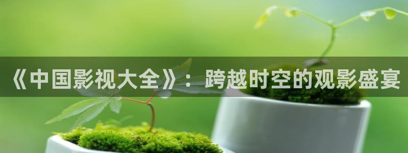 神马影院午夜片第九达达兔：《中国影视大全》：跨越时空的观影盛宴