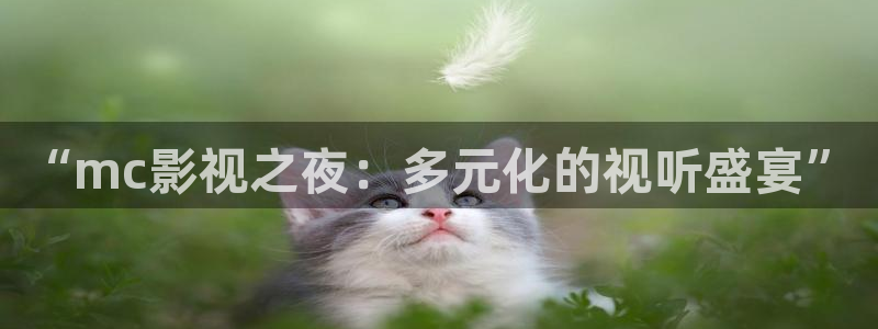 神马电影51：“mc影视之夜：多元化的视听盛宴”