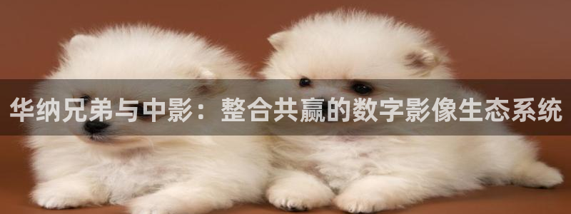 原来神马影院官网免费观看电视剧全集：华纳兄弟与中影：整合共赢的数字影像生态系统