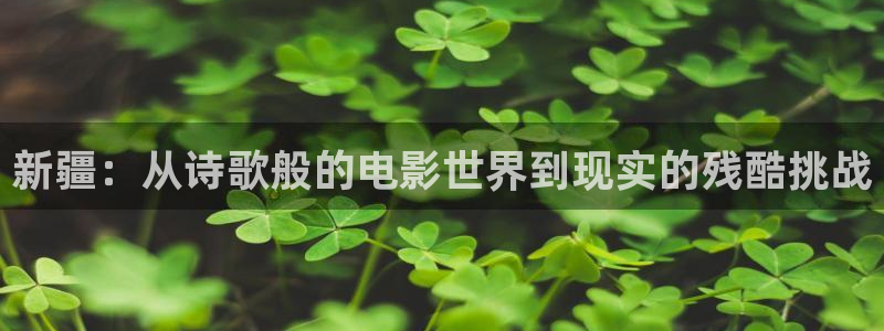 韩国电影神马：新疆：从诗歌般的电影世界到现实的残酷挑战