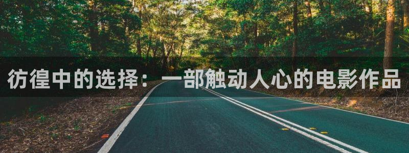 手机电影神马影院：彷徨中的选择：一部触动人心的电影作品