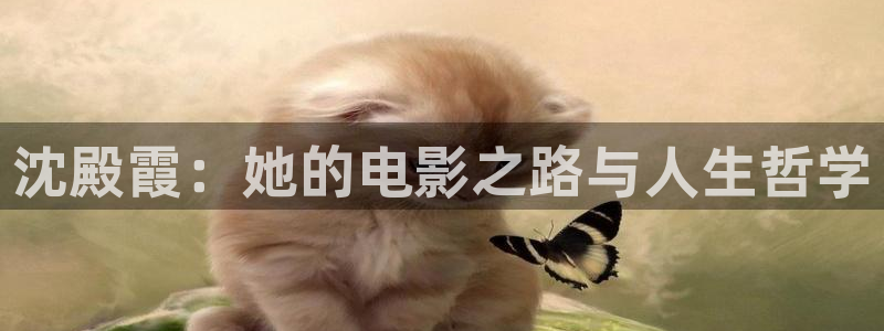 神马影院之一级片：沈殿霞：她的电影之路与人生哲学