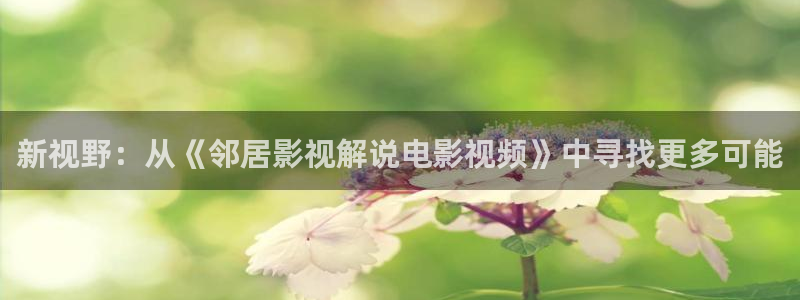 年轻的妈妈2神马影院：新视野：从《邻居影视解说电影视频》中寻找更多可能