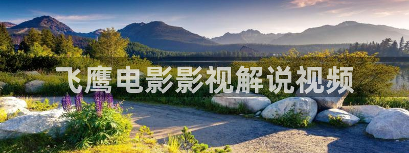 神马伦理在线观看影片：飞鹰电影影视解说视频