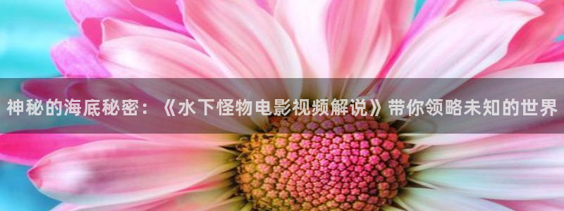 神马三我不卡：神秘的海底秘密：《水下怪物电影视频解说》带你领略未知的世界