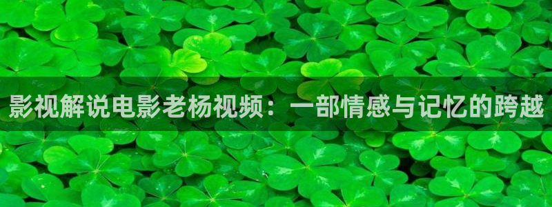 香港神马影院