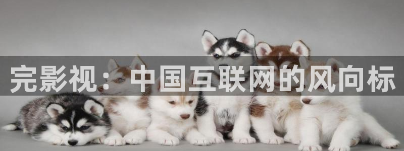 叫神马影院我不卡：完影视：中国互联网的风向标