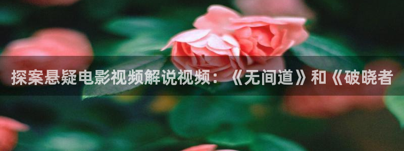 神马影院午夜不卡：探案悬疑电影视频解说视频：《无间道》和《破晓者