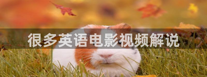 神马午夜电影51：很多英语电影视频解说