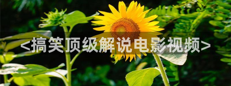 神马影院策驰：<搞笑顶级解说电影视频>