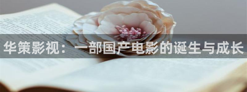 神马影院在线观看影院：华策影视：一部国产电影的诞生与成长