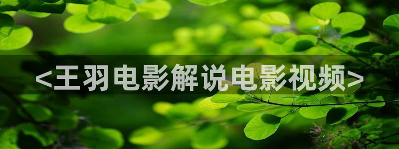 神马影院电视剧免费观看完：<王羽电影解说电影视频>