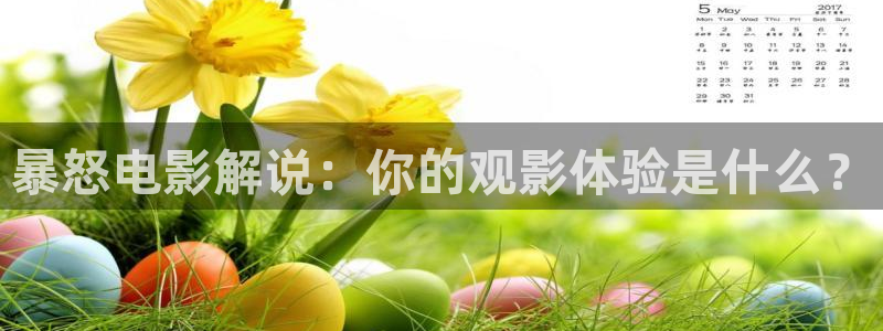 九九神马影院：暴怒电影解说：你的观影体验是什么？