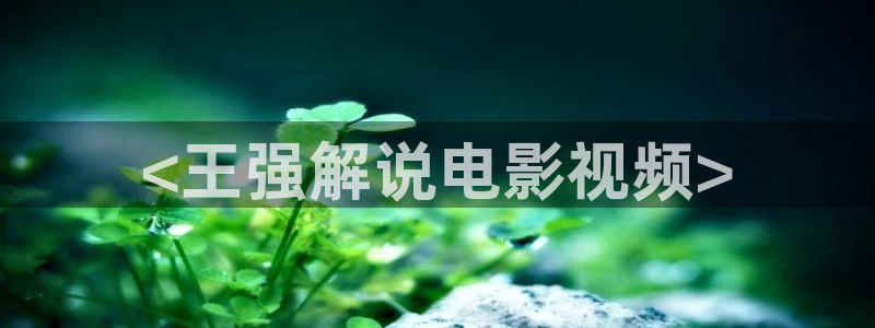 smyy.com神马影院：<王强解说电影视频>