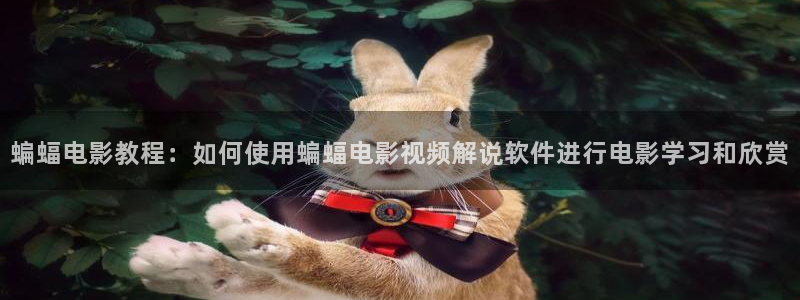 神马影院4k：蝙蝠电影教程：如何使用蝙蝠电影视频解说软件进行电影学习和欣赏