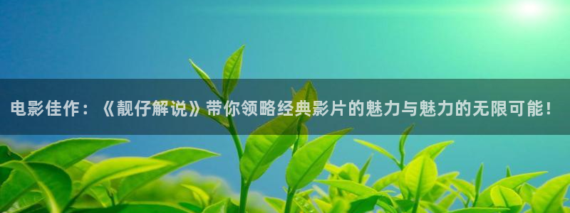 神马达达兔电影免费播放：电影佳作：《靓仔解说》带你领略经典影片的魅力与魅力的无限可能！