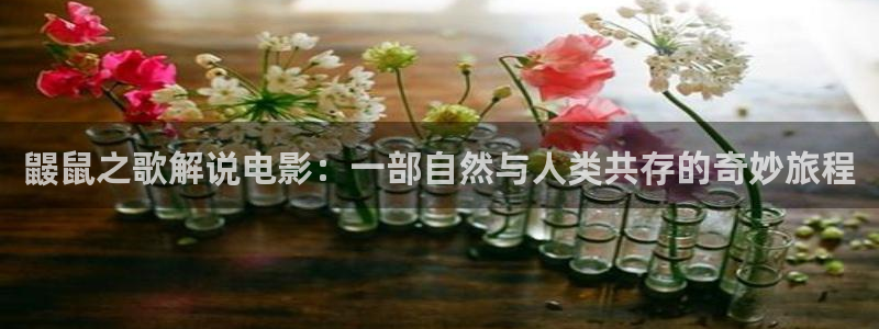 年轻的母亲 神马影院：鼹鼠之歌解说电影：一部自然与人类共存的奇妙旅程