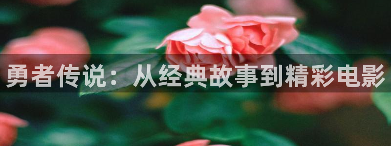 神马电影院网院：勇者传说：从经典故事到精彩电影