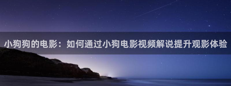 神马极速影院免费观看电视剧全集：小狗狗的电影：如何通过小狗电影视频解说提升观影体验
