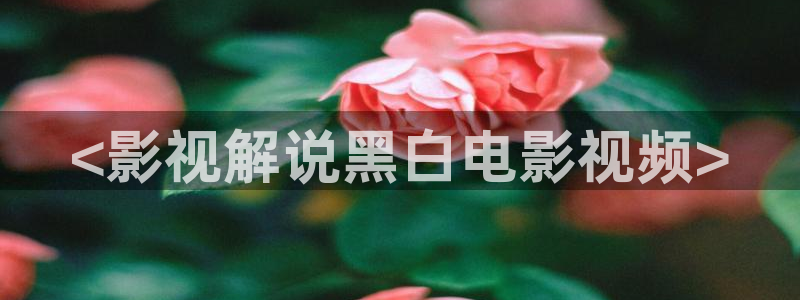 无上神帝在线观看全集免费播放神马影院：<影视解说黑白电影视频>