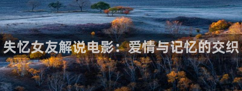 神马影院嘿嘿：失忆女友解说电影：爱情与记忆的交织