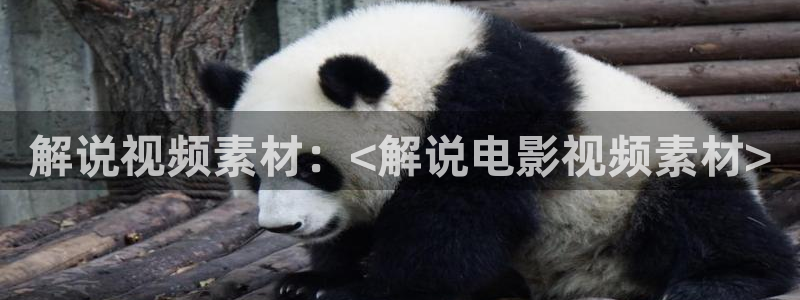 秋霞影院神马在线：解说视频素材：<解说电影视频素材>