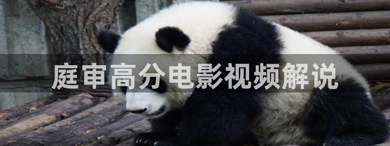 神马顶级伦理片电影在线观看：庭审高分电影视频解说