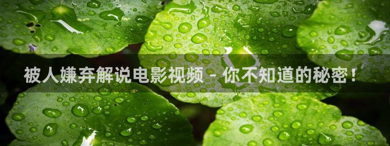 大香蕉神马影院：被人嫌弃解说电影视频 - 你不知道的秘密！