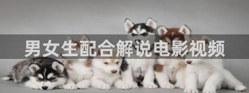神马电影观看：男女生配合解说电影视频