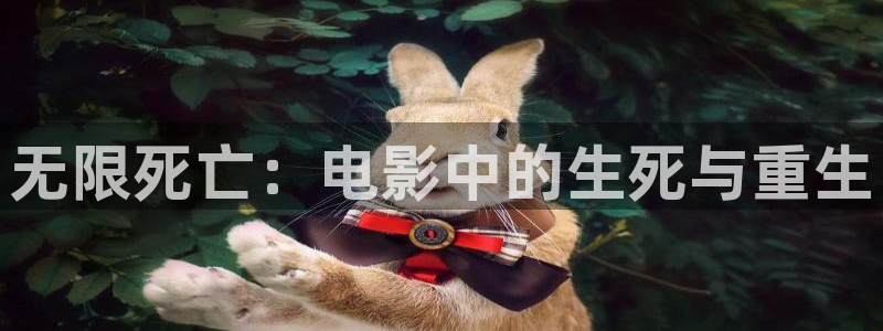 神马电影院在线电影：无限死亡：电影中的生死与重生