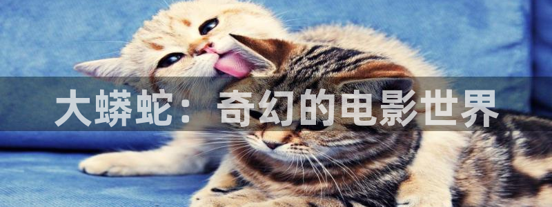 yy6080神马影院在线播放：大蟒蛇：奇幻的电影世界