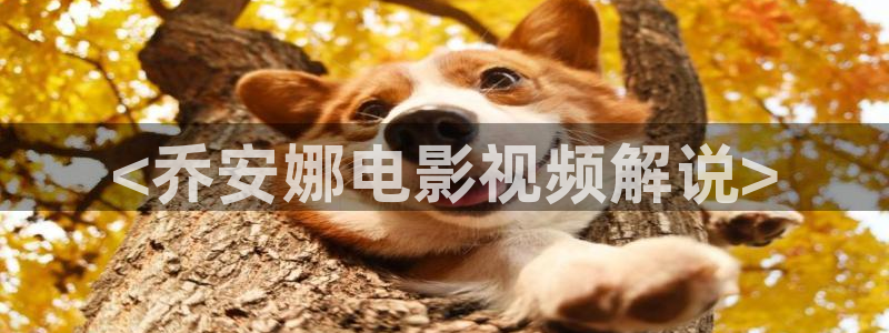 神马影院手机在线观看我不卡：<乔安娜电影视频解说>