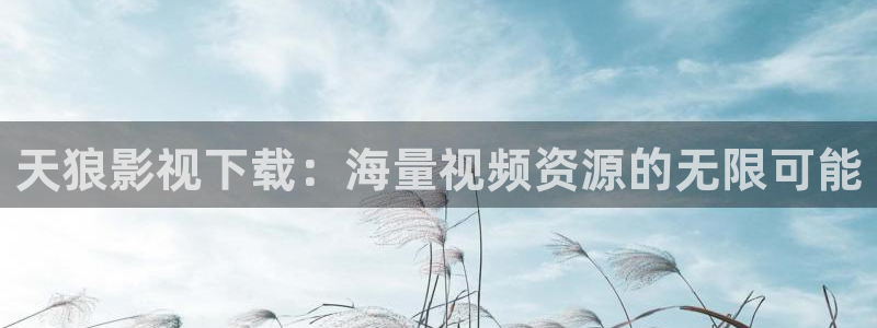 神马影视免费观看：天狼影视下载：海量视频资源的无限可能