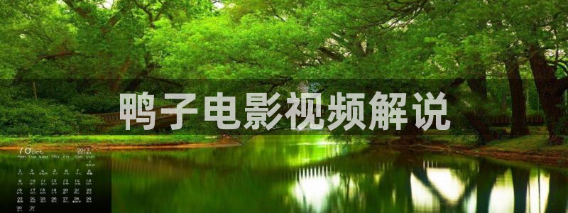神马老子影院特片：鸭子电影视频解说