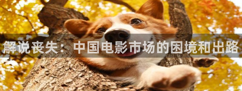原来的神马影院在线观看完整版：解说丧失：中国电影市场的困境和出路