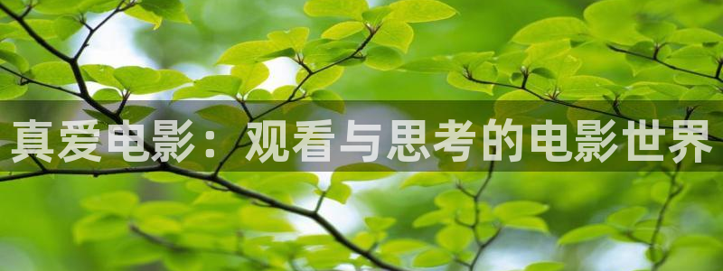 94sm神马影院：真爱电影：观看与思考的电影世界