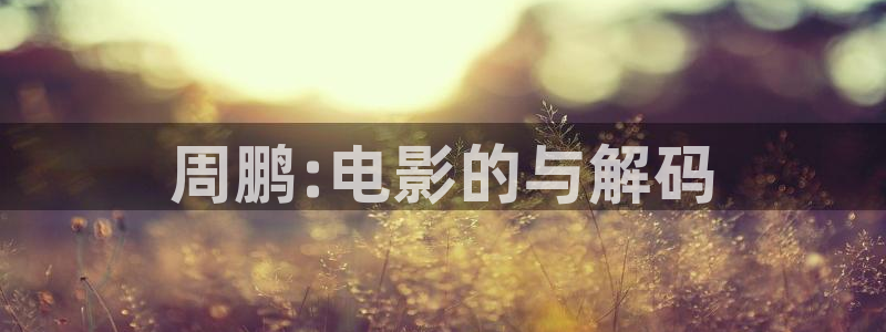 老子影院神马影院：周鹏:电影的与解码