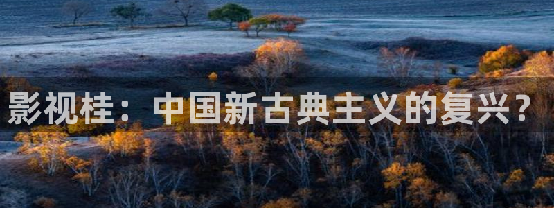 神马电影观看：影视桂：中国新古典主义的复兴？