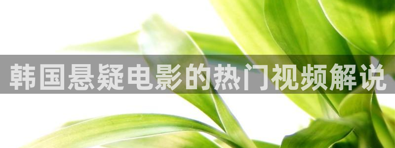 神马影视我不卡伦理：韩国悬疑电影的热门视频解说